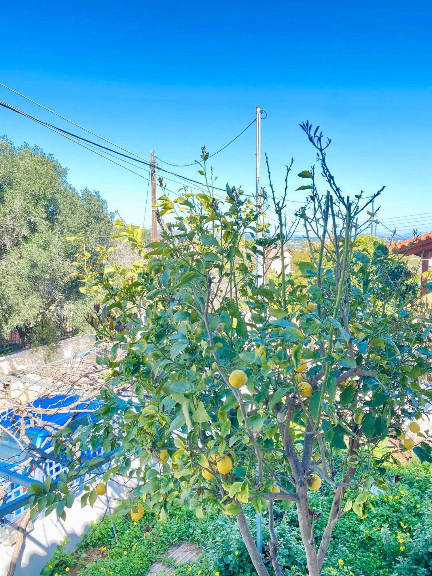 Christinas House Near Athens Airport-port-sea Artemida (Attica)